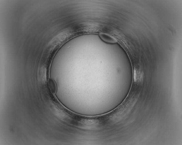 X0000112920205200909141319