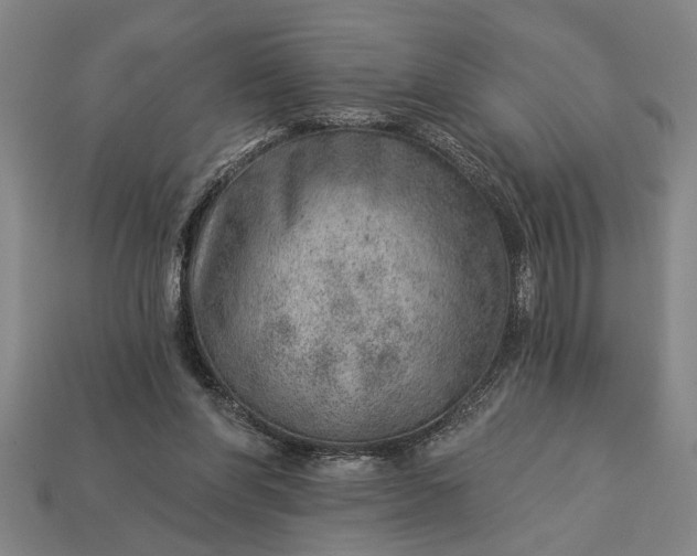 X0000112920206200909141319