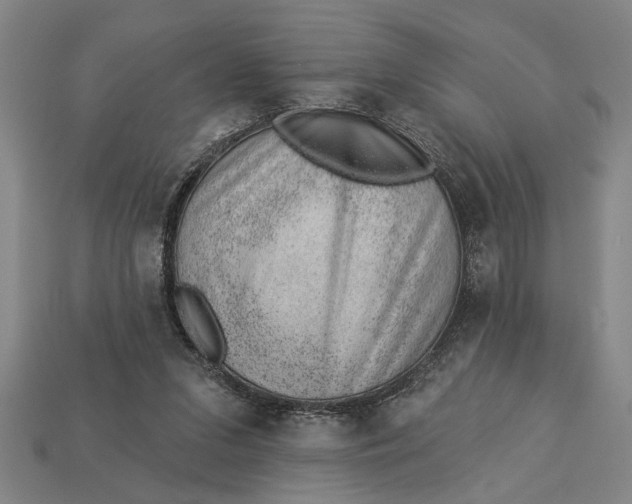 X0000112920207200909141319