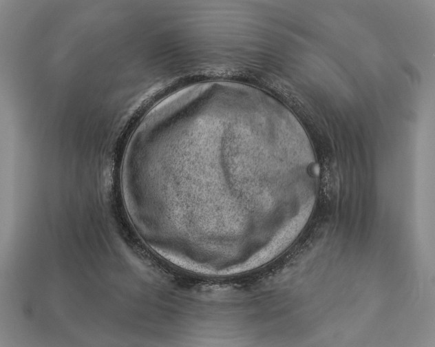 X0000112920208200909141319