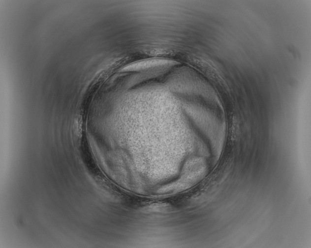 X0000112920210200909141319