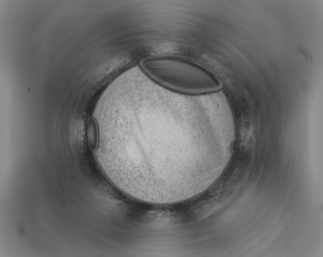X0000112920211200909141319