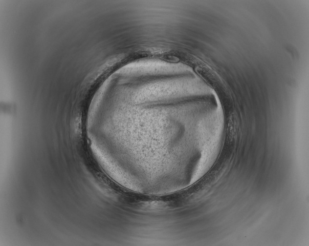 X0000112920212200909141319