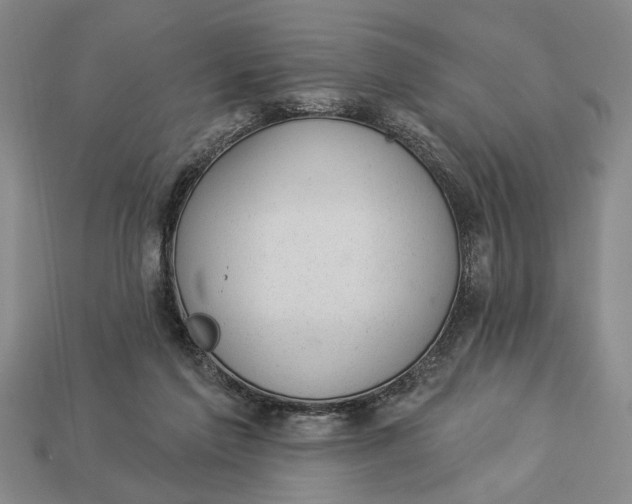 X0000112920213200909141319