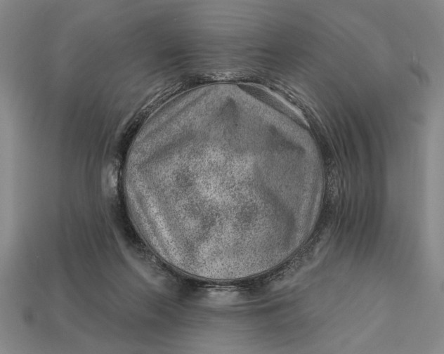 X0000112920214200909141319