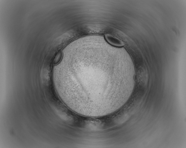X0000112920215200909141319