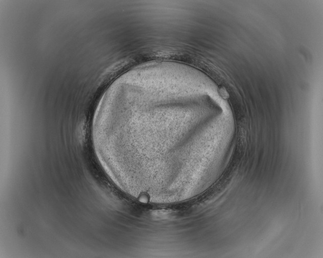 X0000112920216200909141319