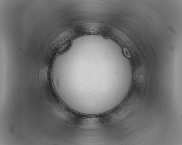 X0000112920217200909141319