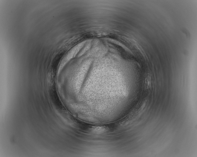 X0000112920218200909141319