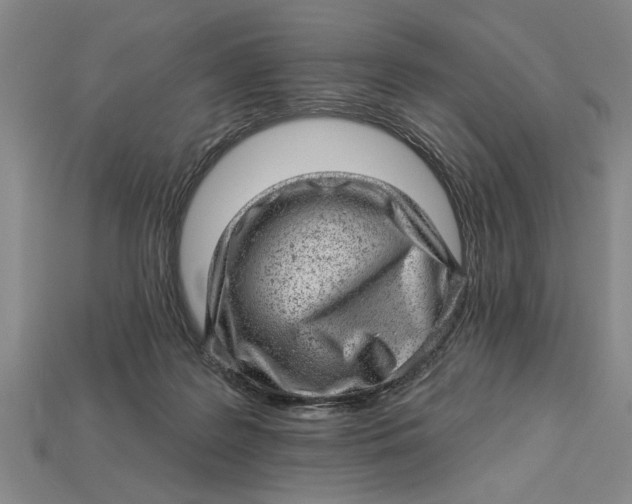 X0000112920219200909141319
