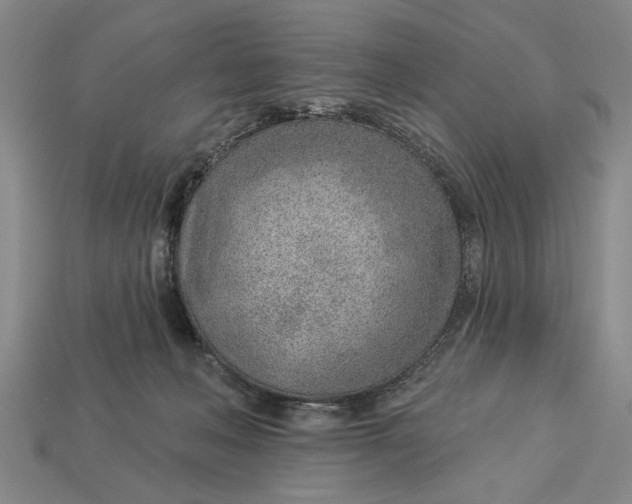 X0000112920222200909141319