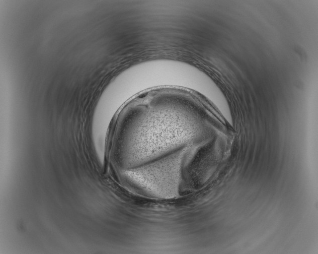 X0000112920223200909141319