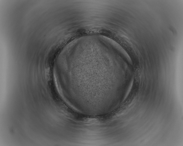 X0000112920224200909141319