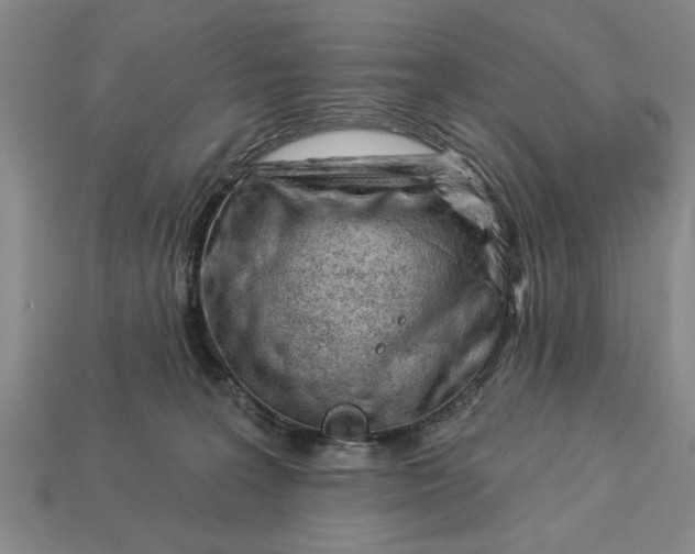 X0000112920227200909141319
