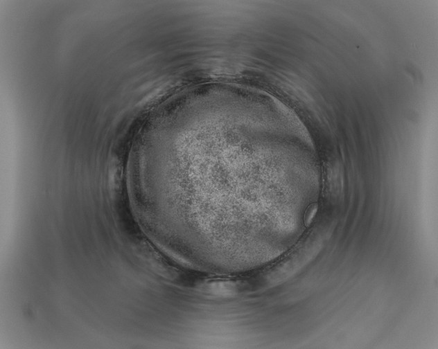 X0000112920228200909141319