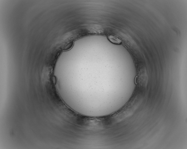 X0000112920229200909141319