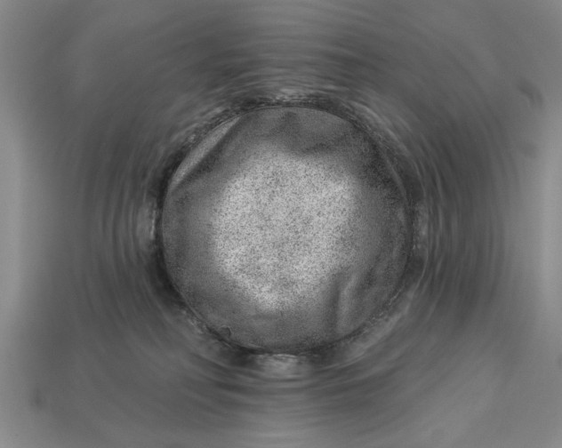 X0000112920230200909141319