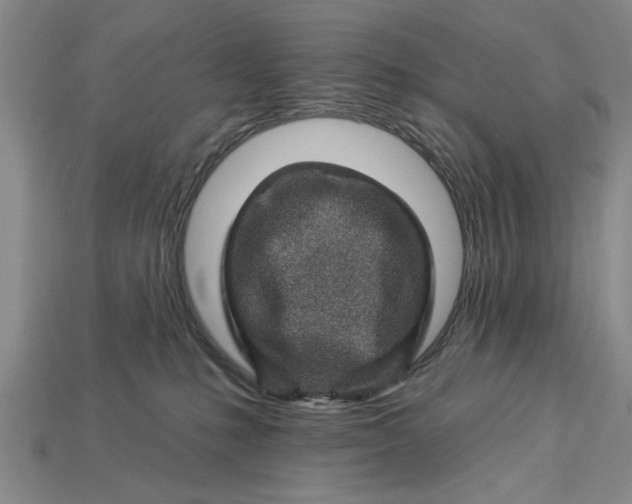 X0000112920231200909141319