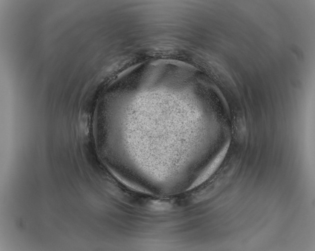 X0000112920232200909141319