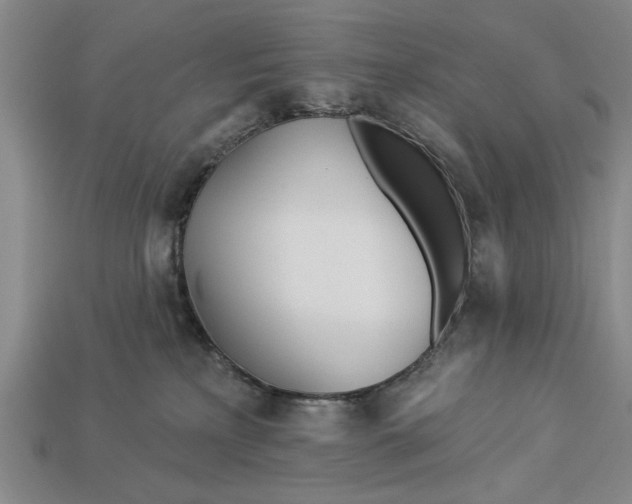 X0000112920233200909141319
