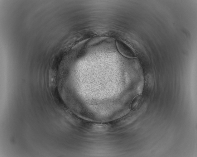X0000112920234200909141319