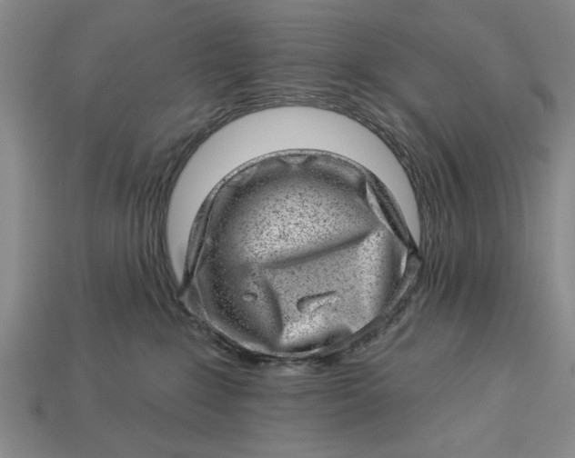 X0000112920235200909141319