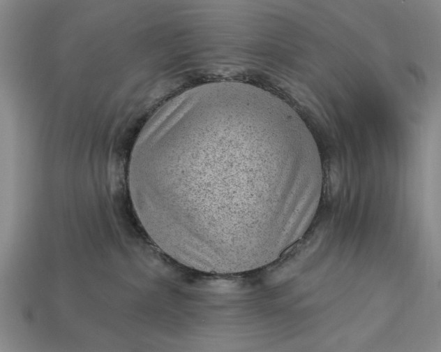 X0000112920236200909141319
