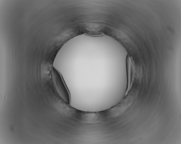 X0000112920237200909141319