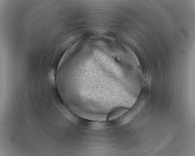 X0000112920238200909141319