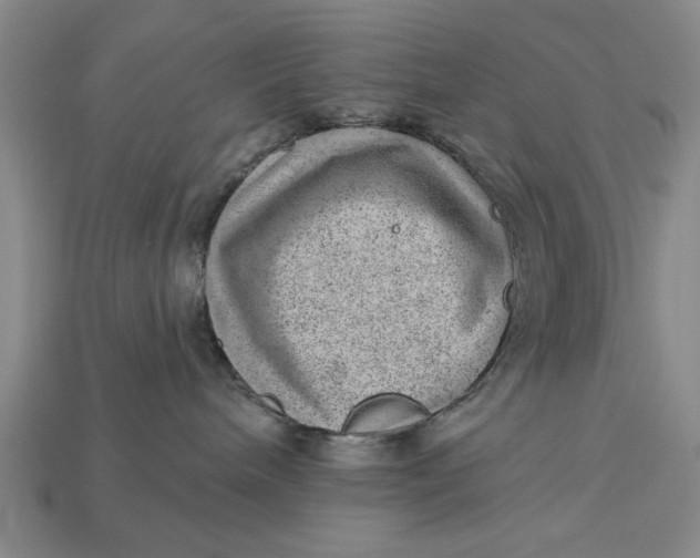 X0000112920240200909141319