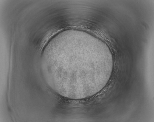 X0000112920241200909141318
