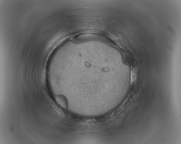X0000112920243200909141318