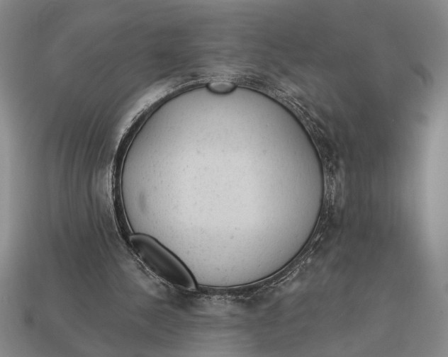 X0000112920244200909141318