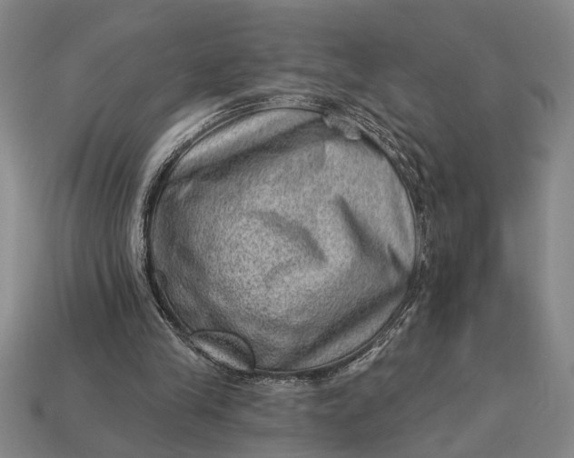 X0000112920245200909141318