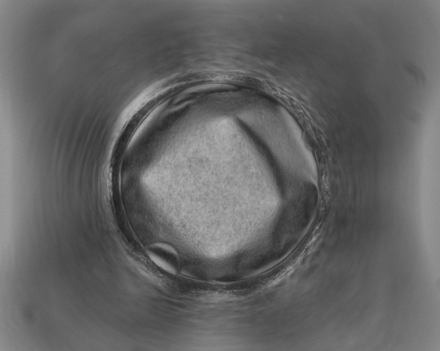 X0000112920246200909141318