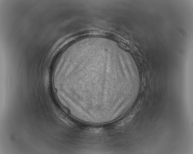 X0000112920247200909141318