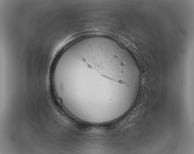 X0000112920248200909141318