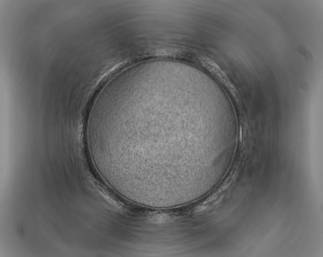X0000112920249200909141318