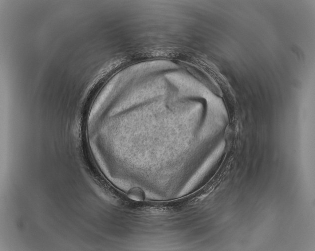 X0000112920250200909141318