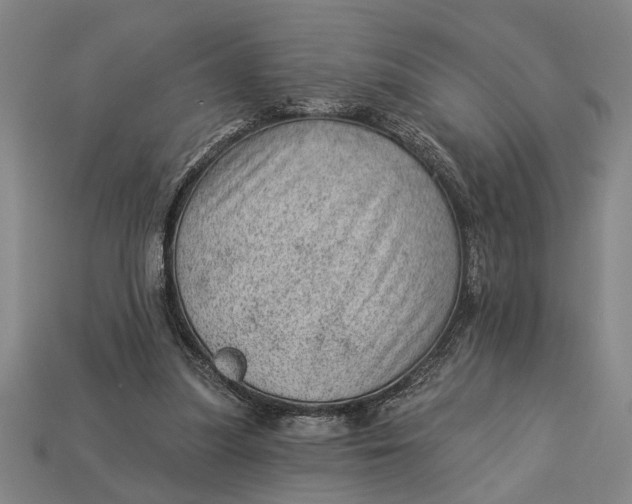 X0000112920251200909141318