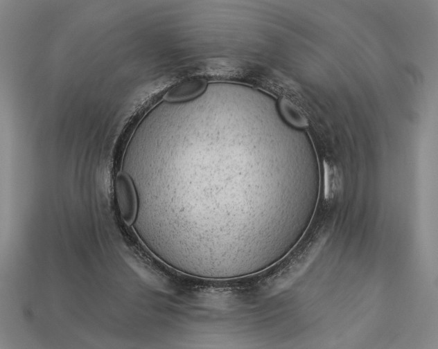 X0000112920252200909141318