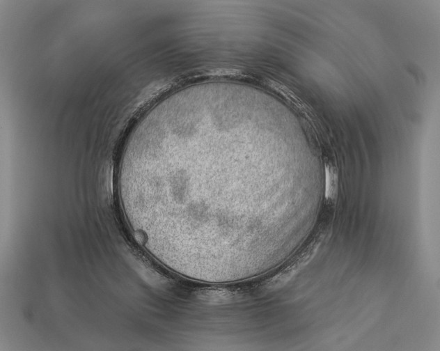 X0000112920253200909141318
