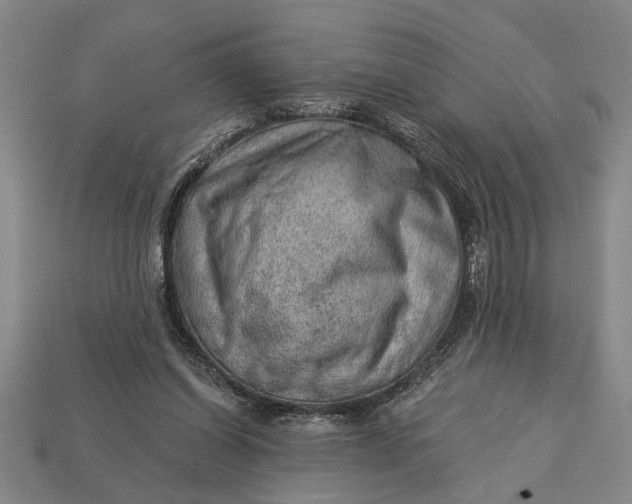 X0000112920254200909141318