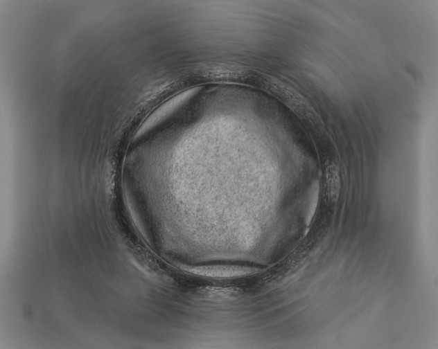 X0000112920255200909141318