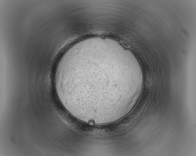 X0000112920256200909141318