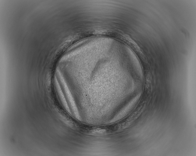 X0000112920257200909141318