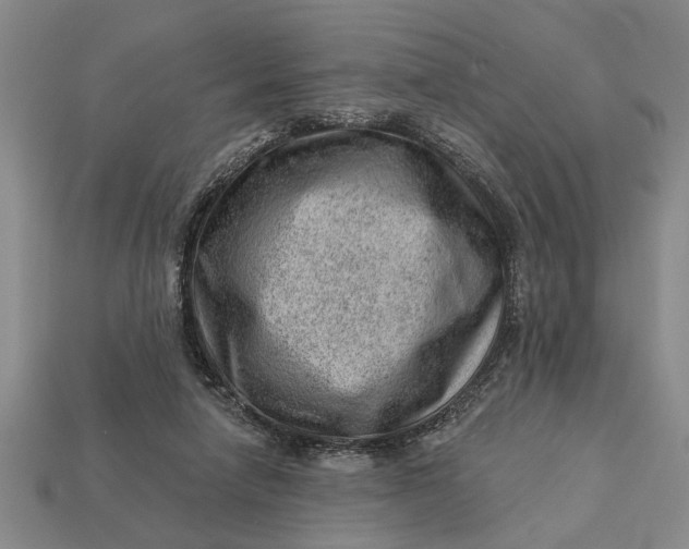 X0000112920258200909141318