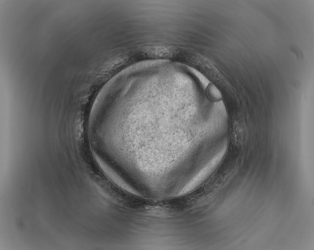 X0000112920259200909141318