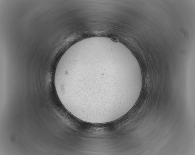 X0000112920260200909141318