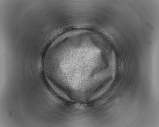 X0000112920261200909141318